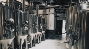 Read more about the article What Equipment Do I Need to Start A Brewery?