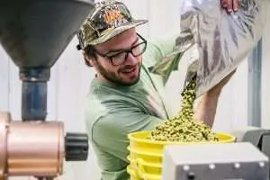 Read more about the article Benefits of Hiring a Brewing Consultant