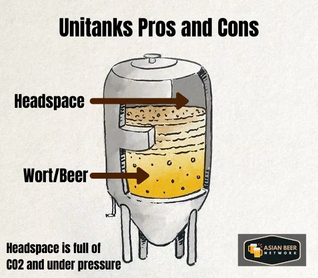 Unitanks Pros and Cons In-depth article - Buying A Commercial Fermenter