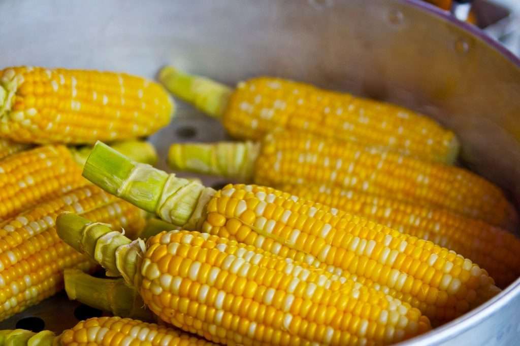 Brewery Heating Options - Corn DMS