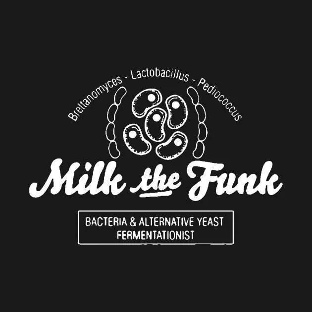 Stages of Beer Fermentation - Milk The Funk