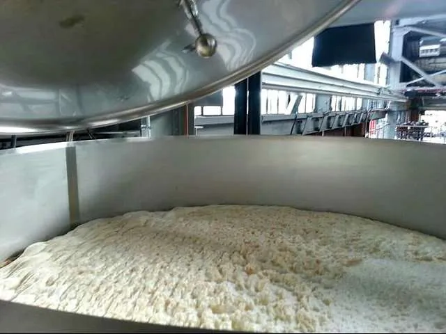Stages of Beer Fermentation - Yeast Krausen
