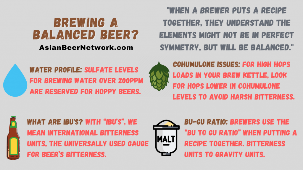 Brewing a Balanced Beer Infographic