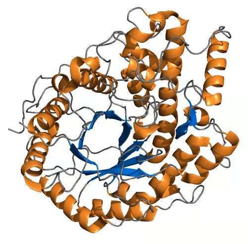 Mash Thickness Tips - Beta Amylase