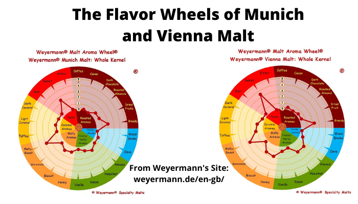 Getting More Body in Beer - The Differences Between Munich and Vienna Malt In Flavor