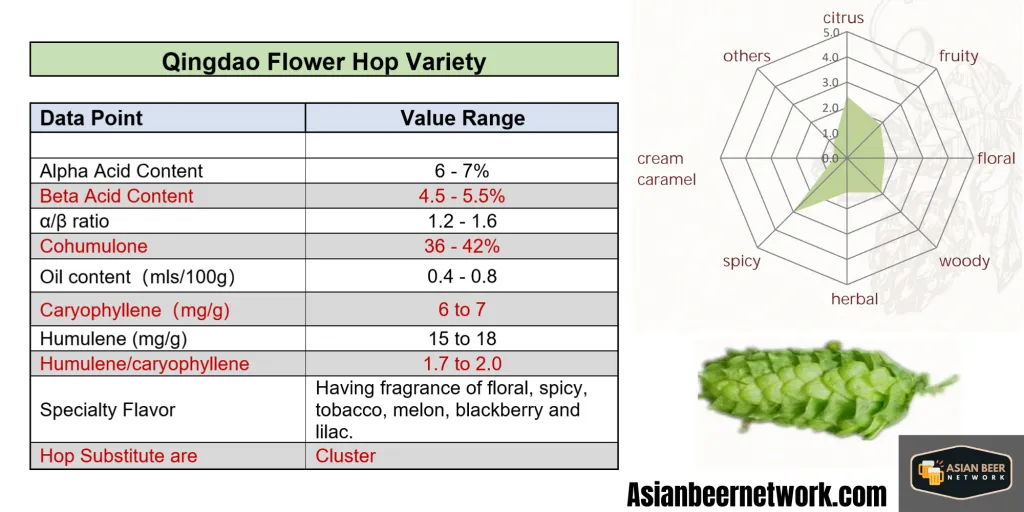 Chinese Hops - Qingdao Flower Hop Profile - Hop and Aroma Sensory Analysis