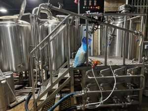 Getting A Turnkey Brewery for Under $50K